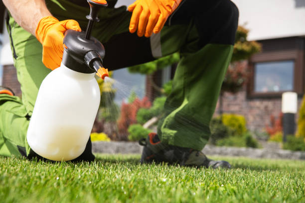 Best Best Pest Control Companies  in Shoh, IL