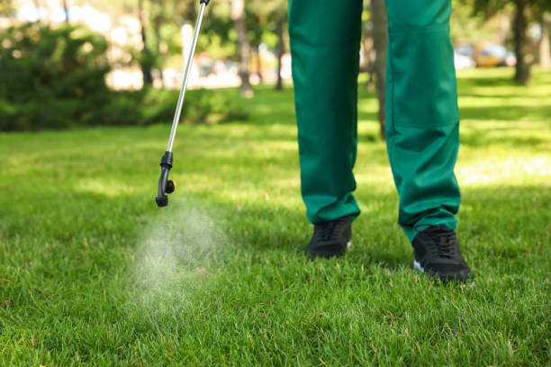 Pest Control for Restaurants in Shiloh, IL