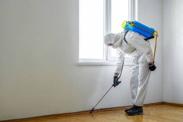 Professional Pest Control in Shiloh, IL