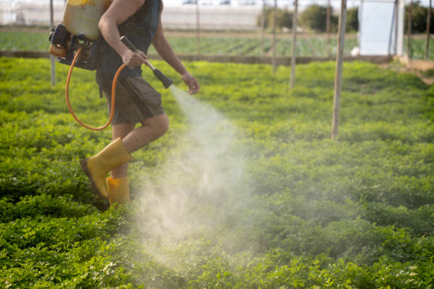 Best Affordable Pest Control Services  in Shoh, IL