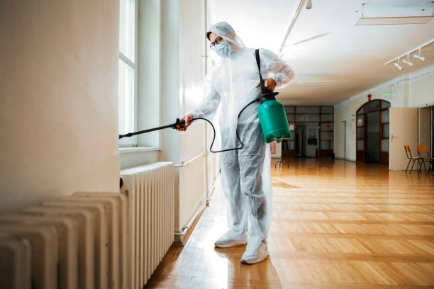 Trusted Shiloh, IL Pest Control Experts